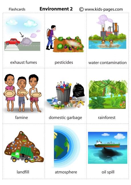 environment management and protection civil service|Environment Management and Protection Flashcards .